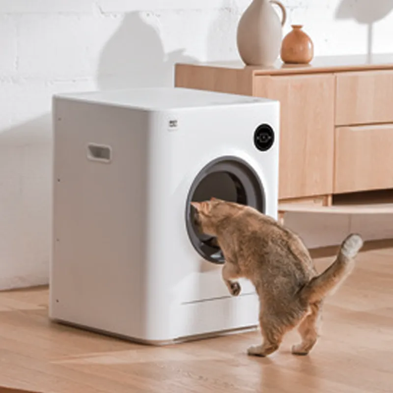 스마트 고양이 모래 도매 공급업체